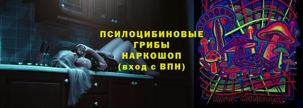 дживик Дмитриев