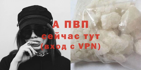 дживик Дмитриев