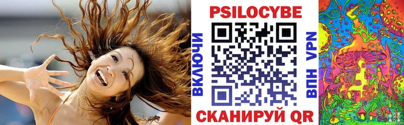 Купить закладки  Карпинск  Галлюциногенные грибы Magic Shrooms 