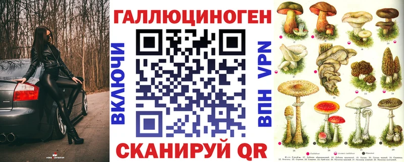 Галлюциногенные грибы Psilocybine cubensis Карпинск